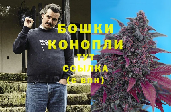 ECSTASY Вязники