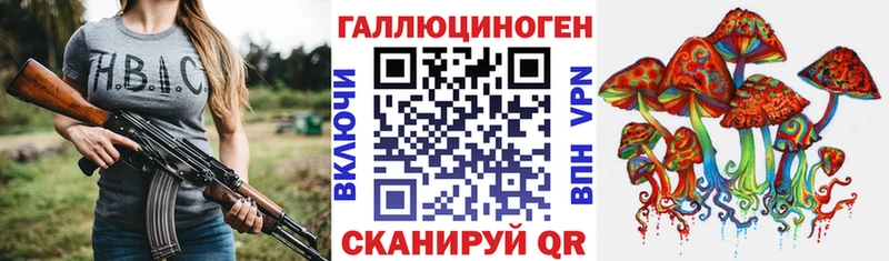 кракен   Дно  Псилоцибиновые грибы мухоморы 